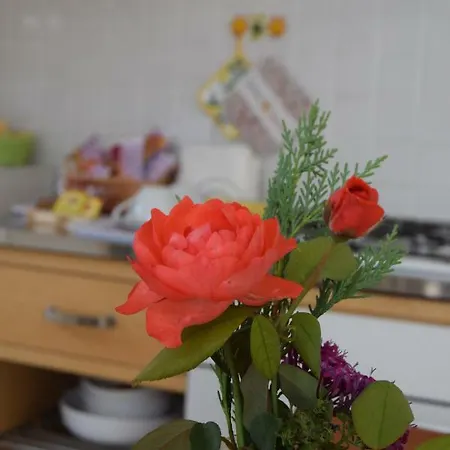Bed & Breakfast Casa E Per Lavoro Tessyhouse Spinea