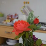 Nocleg ze śniadaniem Casa E Per Lavoro Tessyhouse Spinea